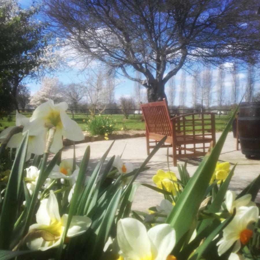 Le Pressoir De Gisay Hotel Buitenkant foto